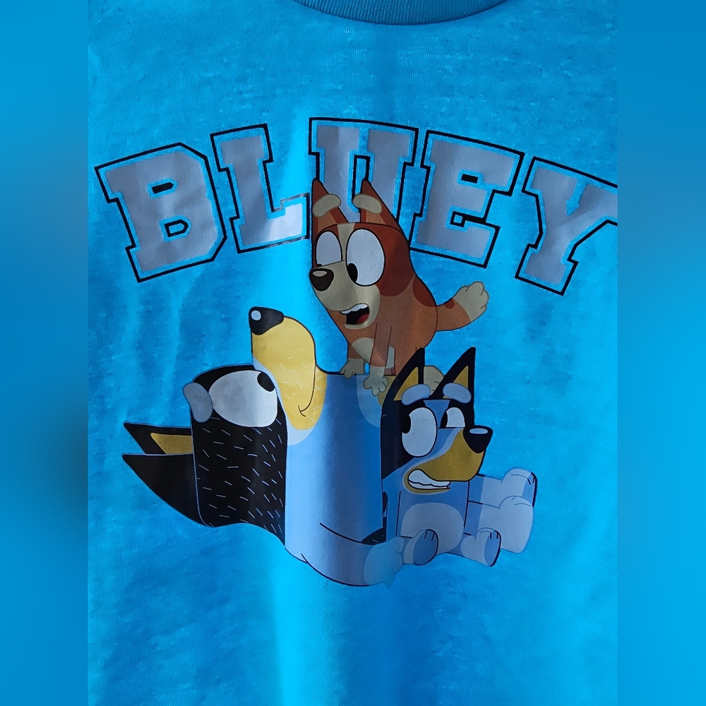 Bluey T-Shirt - Blue - Picture 3 of 7